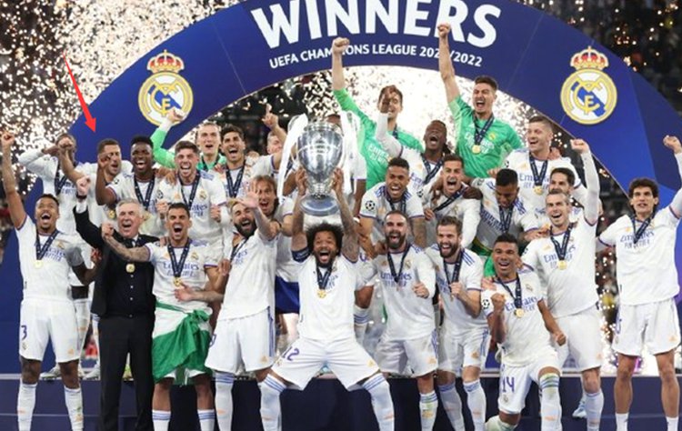 他们已经迈 他们已经迈